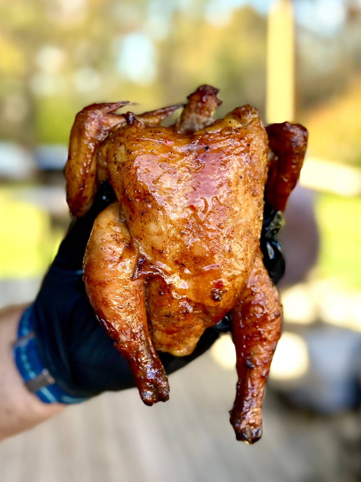 Cornish game hen cooked on a rotisserie