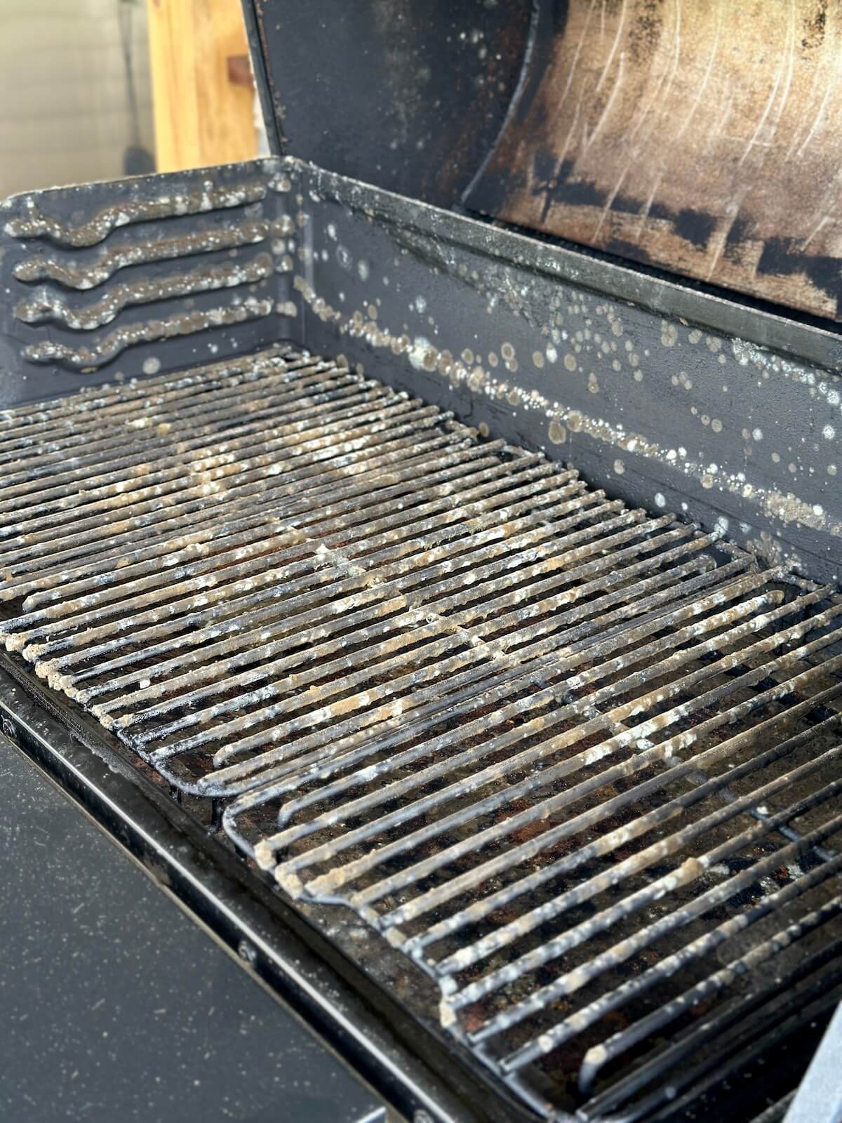 moldy Traeger pellet grill